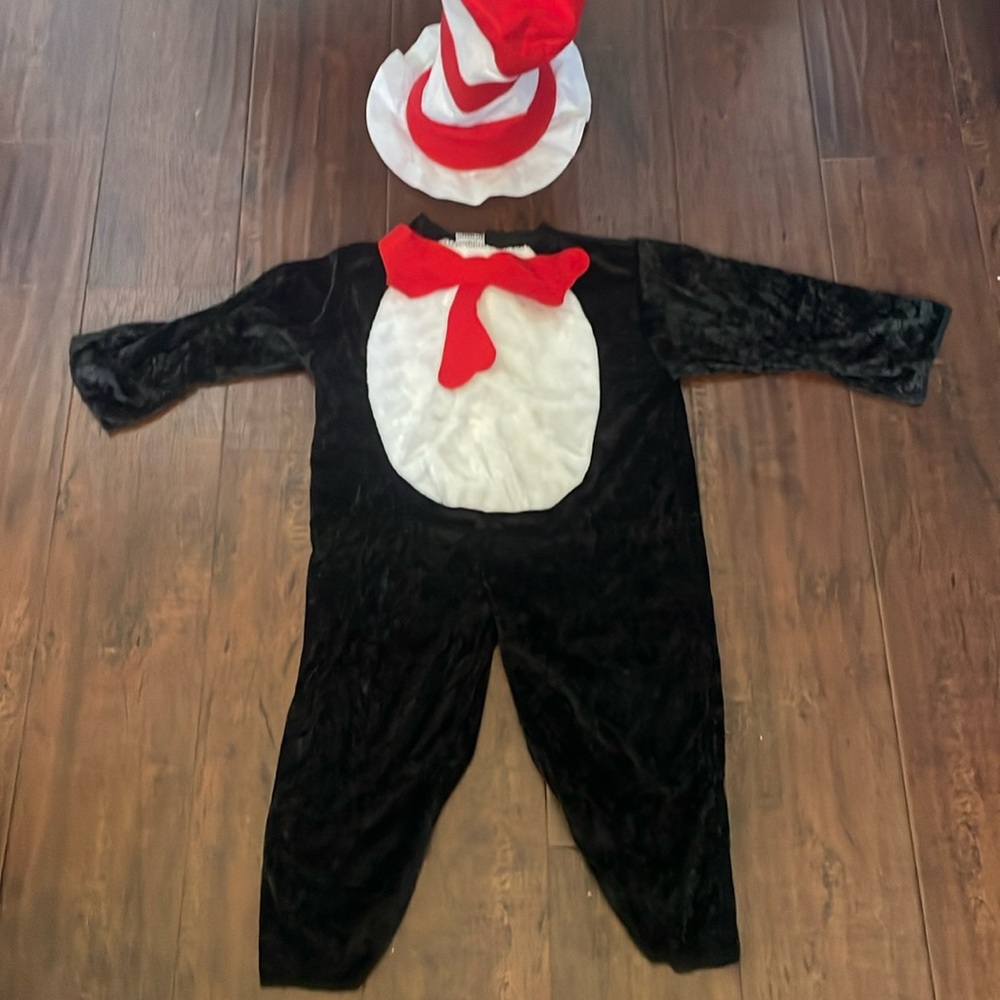 Dr Seuss Cat in the Hat Costume